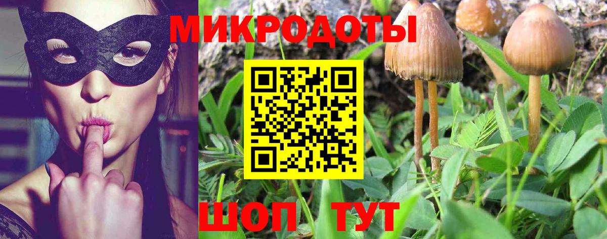 купить наркоту  Вход с VPN  Кубинка  Псилоцибиновые грибы мухоморы 