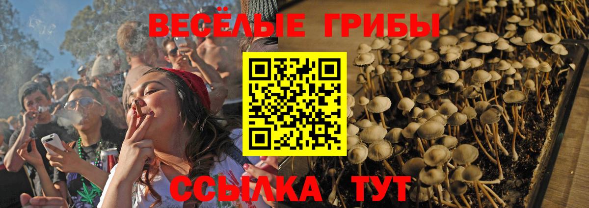 ГАШ  Кубинка  Вход с VPN  Канабис  Амфетамин   Меф МЯУ МЯУ   ГАШИШ 